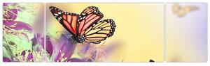 Motýle - obraz (Obraz 170x50cm)