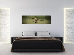 Orel - obraz (Obraz 170x50cm)