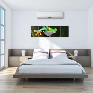 Žaba - obraz (Obraz 170x50cm)