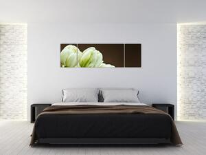 Tulipány - obraz (Obraz 170x50cm)