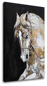 Obraz na plátne ŽREBEC - 50x70 cm