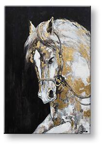 Obraz na plátne ŽREBEC - 50x70 cm