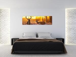 Jelene - obraz (Obraz 170x50cm)