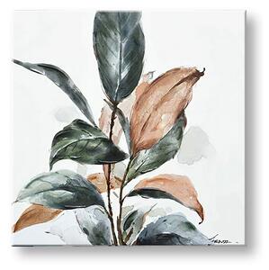Obraz na plátne LISTY - 50x50 cm