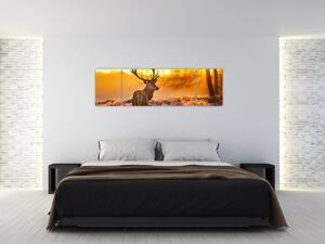 Jelen - obraz (Obraz 170x50cm)