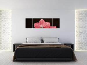 Ružová orchidea - obraz (Obraz 170x50cm)