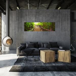 Schody v lese - obraz (Obraz 170x50cm)