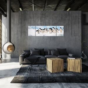 Tučniaci - obraz (Obraz 170x50cm)