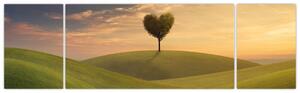 Obraz stromu v tvare srdca (Obraz 170x50cm)