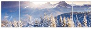 Fotka zimnej krajiny - obraz (Obraz 170x50cm)