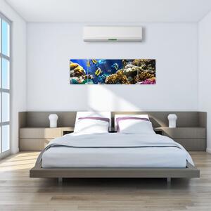 Podmorský svet - obraz (Obraz 170x50cm)