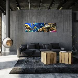 Podmorský svet - obraz (Obraz 170x50cm)