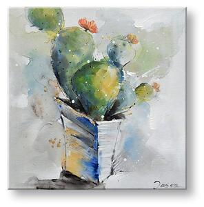 Obraz na plátne KAKTUS - 50x50 cm