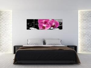 Obraz orchideí (Obraz 170x50cm)