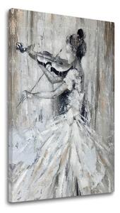 Obraz na plátne HUSLISTKA - 40x60 cm