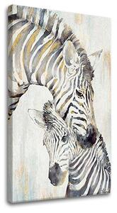 Obraz na plátne ZEBRY - 40x60 cm