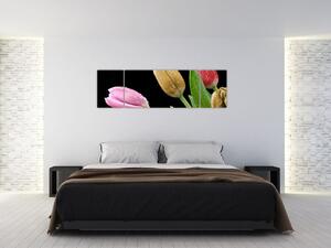 Tulipány - obraz (Obraz 170x50cm)
