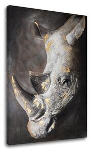 Obraz na plátne NOSOROŽEC 1 dielny XOBCHAN082 - 40x60 cm