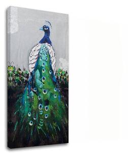Obraz na plátne PÁV - 40x80 cm