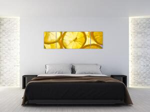 Plátky citrónov - obraz (Obraz 170x50cm)