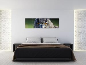 Sova - obraz (Obraz 170x50cm)