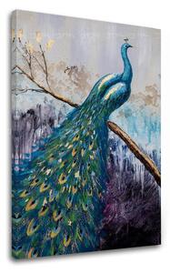 Obraz na plátne PÁV - 80x120 cm