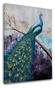 Obraz na plátne PÁV - 40x60 cm