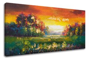 Obraz na plátne LÚKA - 80x40 cm