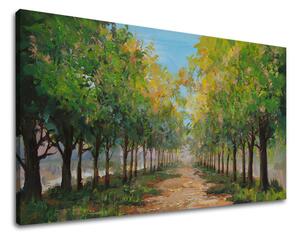Obraz na plátne STROMY - 80x40 cm