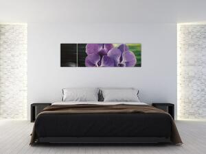 Obraz kvetov orchidey (Obraz 170x50cm)