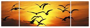 Obraz letiacich vtákov (Obraz 170x50cm)