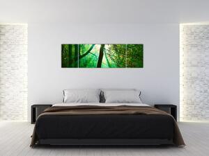 Obraz stromu (Obraz 170x50cm)