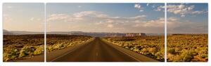 Panorama cesty - obraz (Obraz 170x50cm)