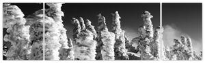 Obraz - zimné hory (Obraz 170x50cm)