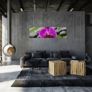 Orchidea - obraz (Obraz 170x50cm)