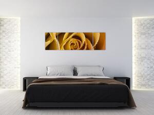 Obraz ruže (Obraz 170x50cm)