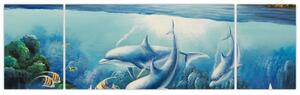 Obraz podmorského sveta (Obraz 170x50cm)