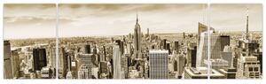 Panorama New York, obraz (Obraz 170x50cm)