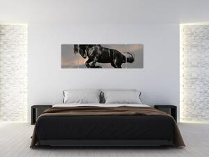 Čierny kôň, obraz (Obraz 170x50cm)