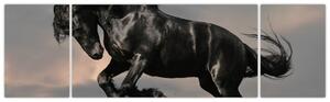 Čierny kôň, obraz (Obraz 170x50cm)