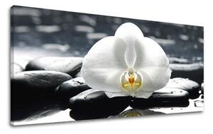 Obraz na stenu PANORÁMA FENG SHUI - 30x60 cm