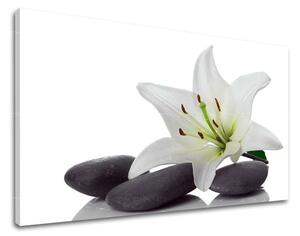 Obraz na stenu FENG SHUI - 20x30 cm
