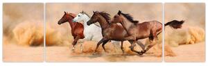 Obraz kôň (Obraz 170x50cm)