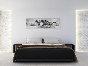 Obraz cválajúci koňov (Obraz 170x50cm)