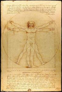 Plagát, Obraz - Vitruviánsky človek, (61 x 91.5 cm)