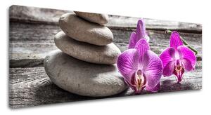 Obraz na plátne FENG SHUI_060-13 - 20x60 cm