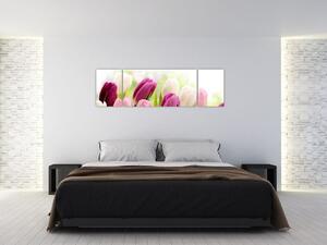 Tulipány, maľby (Obraz 170x50cm)