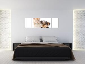 Mačiatko a šteňa - obraz (Obraz 170x50cm)