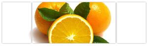 Pomaranče - obraz (Obraz 170x50cm)