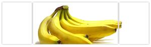Banány - obraz (Obraz 170x50cm)